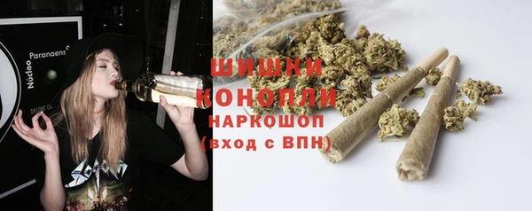 стаф Аркадак