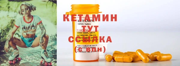 стаф Аркадак