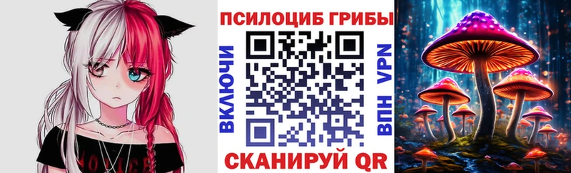 Купить закладки  Бузулук  Псилоцибиновые грибы Cubensis 